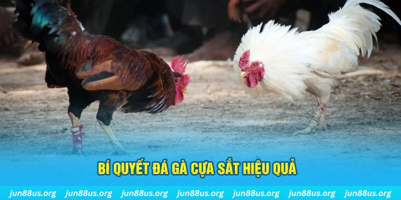 neu88 nổ hũ may mắn