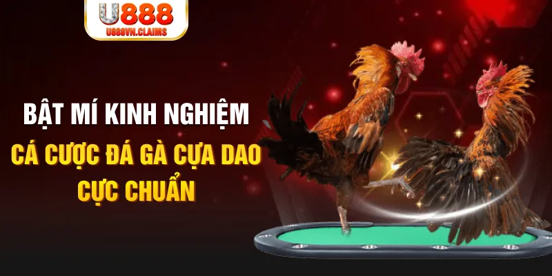 neu88 casino hồ tràm có cho người việt vào không