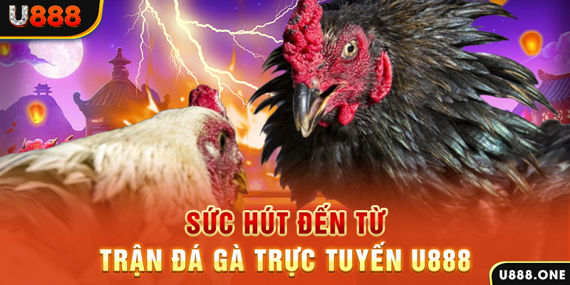 neu88 đăng nhập poker 2024