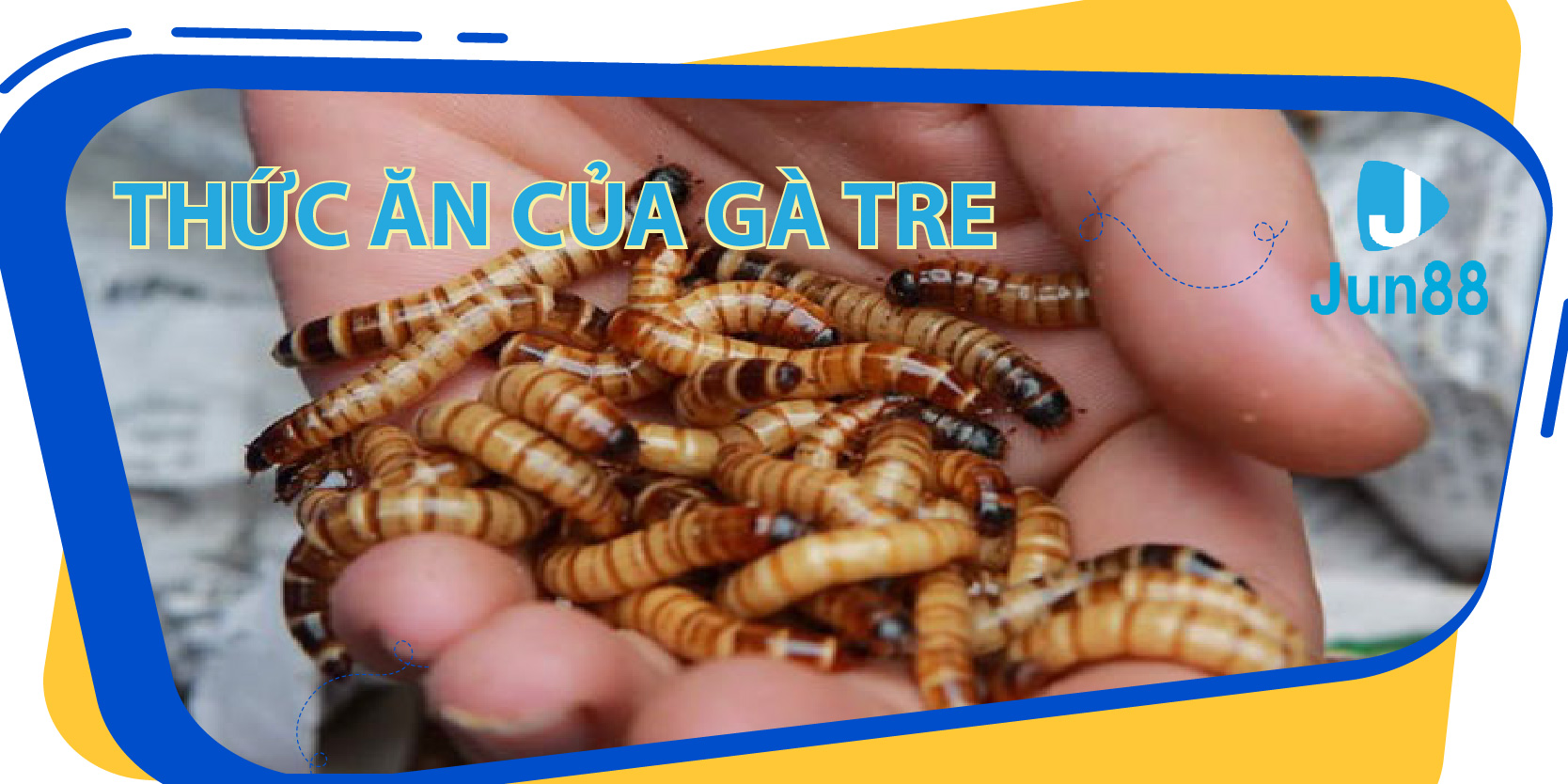 neu88 da ga 67
