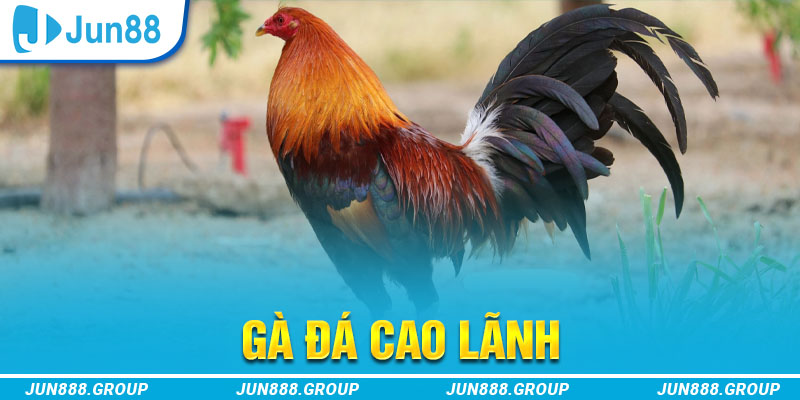 neu88 tai game vua bai ve may tinh
