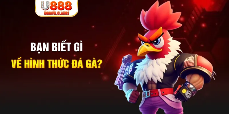 neu88 đăng nhập liêng tặng tiền