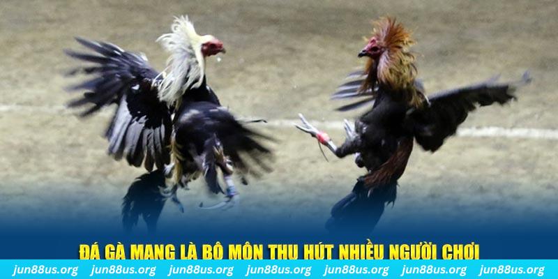 neu88 đăng nhập sòng bạc số 1