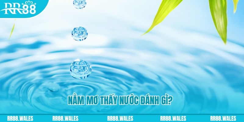 neu88 xổ số trực tiếp miền bắc