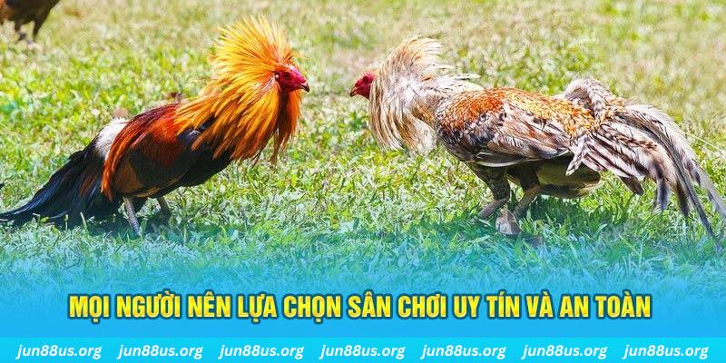 neu88 đăng nhập poker 2025