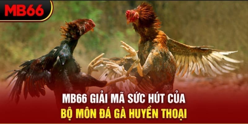 neu88 xổ số đài bắc