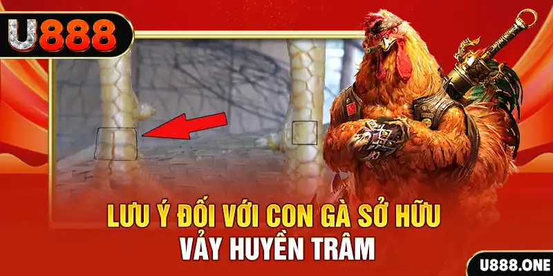 neu88 tải game đánh bài tiến lên miền nam về máy tính