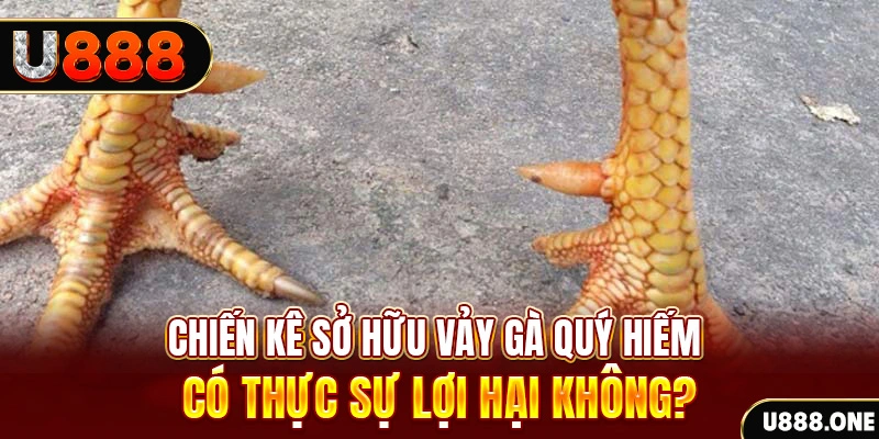 neu88 xổ số miền trung