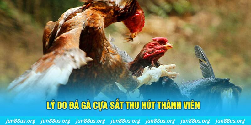 neu88 nổ hũ ăn bao nhiêu
