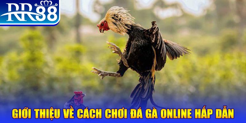 neu88 bắn cá h5 là gì