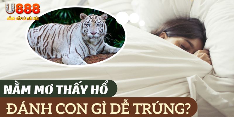 neu88 nohu .mx nổ hủ là gì