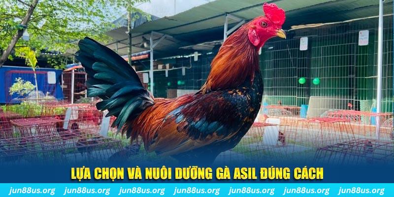 neu88 nổ hũ thần tài là gì