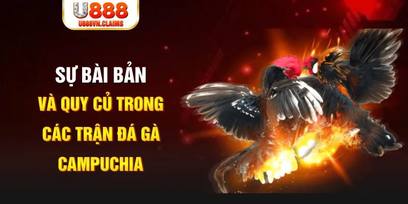 neu88 game xếp bài trên máy tính