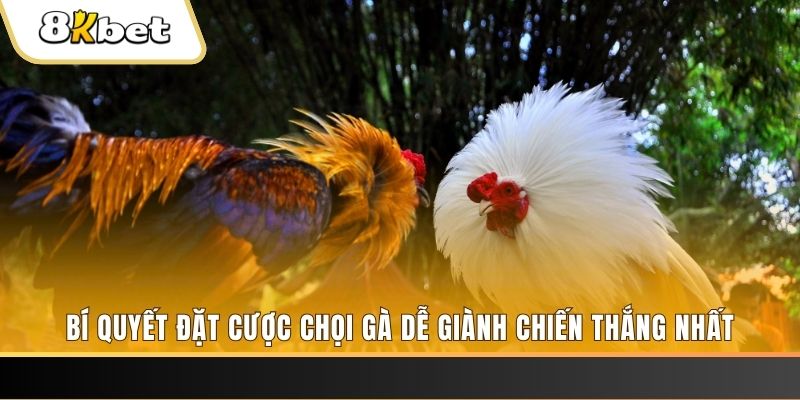 neu88 nổ hũ chơi như thế nào