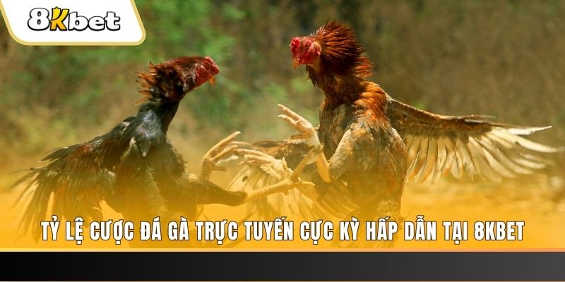 neu88 xổ số miền bắc chủ nhật