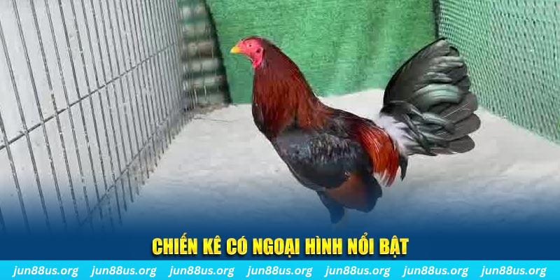 neu88 qq88 bắn cá