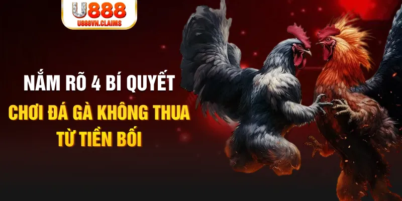 neu88 xổ số hà nội hôm nay