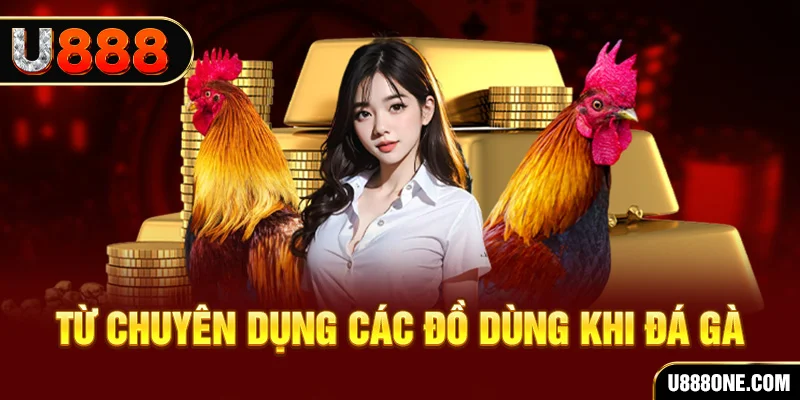 neu88 đăng nhập poker trực tiếp